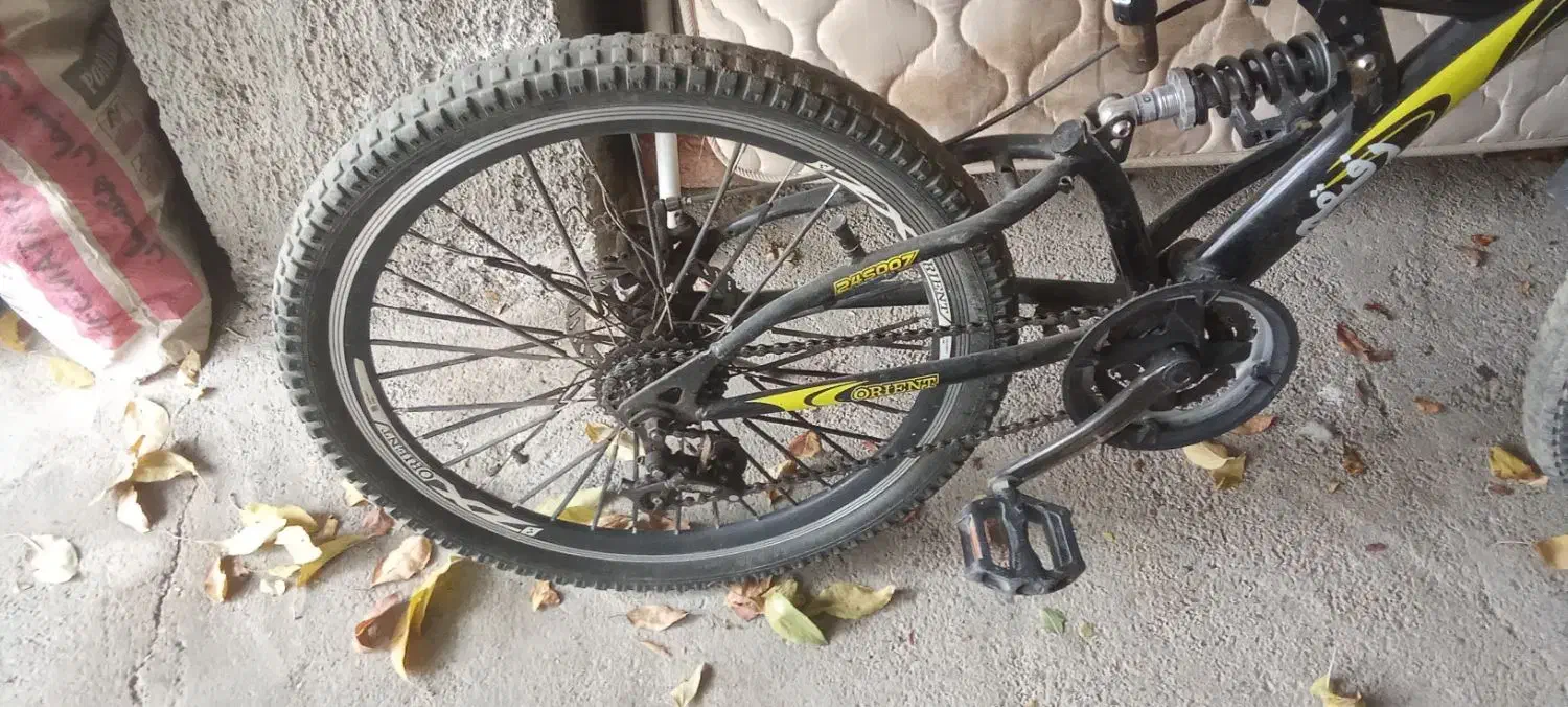 دوچرخه|دوچرخه، اسکیت، اسکوتر|قروه, |دیوار