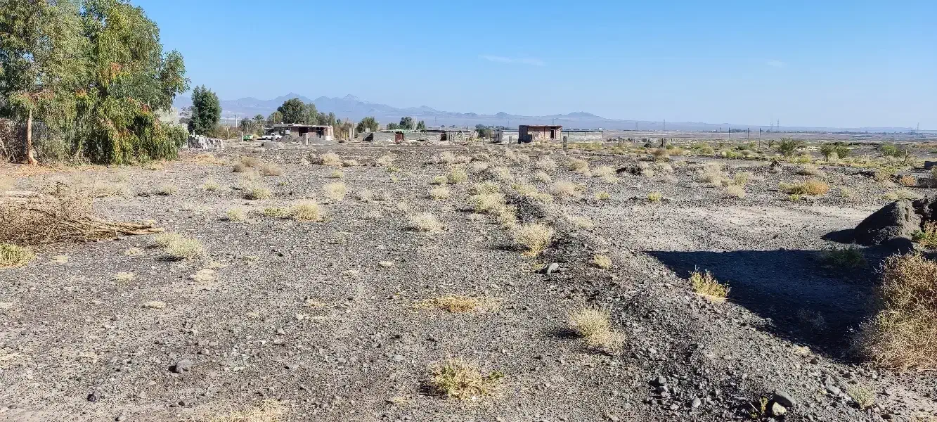 زمین|فروش دفتر صنعتی، کشاورزی، تجاری|بم, |دیوار