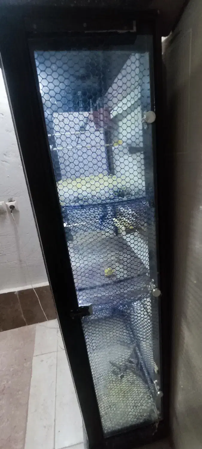 قفس پرنده چهار طبقه|لوازم جانبی حیوانات|مرودشت, کوشک|دیوار