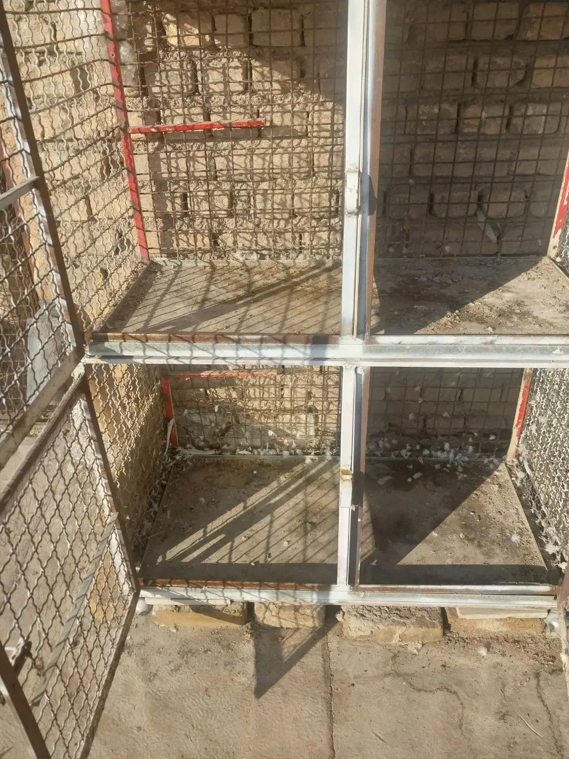 قفس جفتی|لوازم جانبی حیوانات|خمینیشهر, |دیوار