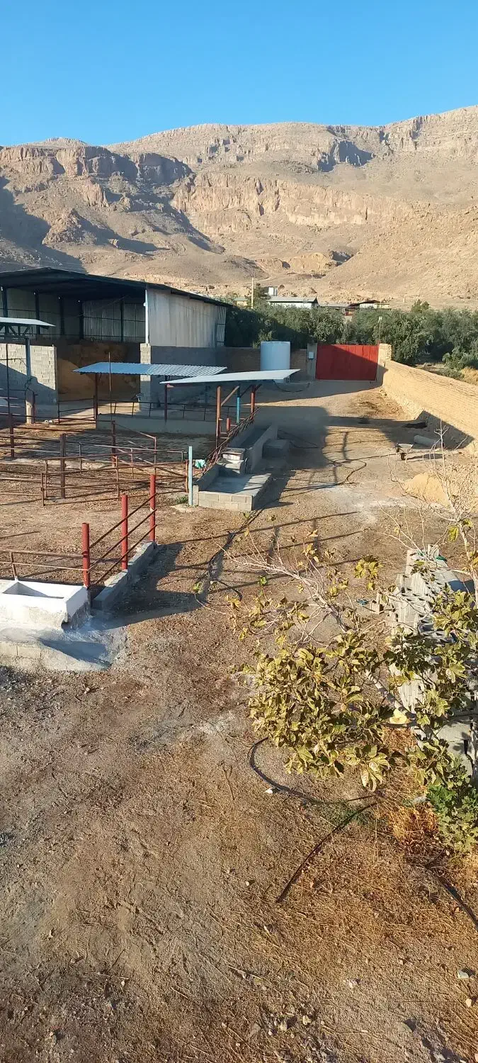 اجاره گاوداری بزرگ و مجهز|اجارهٔ دفتر صنعتی، کشاورزی، تجاری|مرودشت, محمد آباد|دیوار