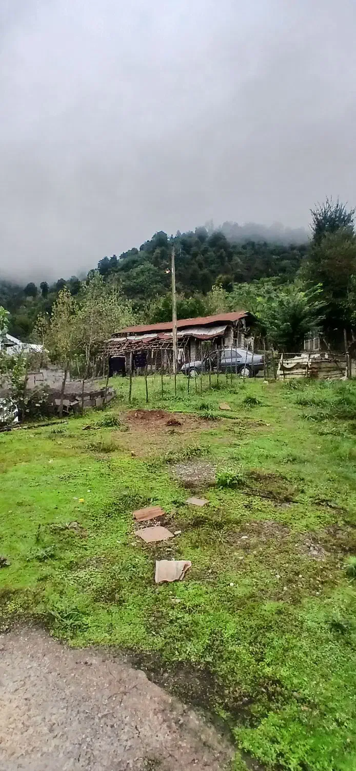 خانه سنتی تالار دار جنگلی ویو دار|فروش خانه و ویلا|احمدسرگوراب, |دیوار