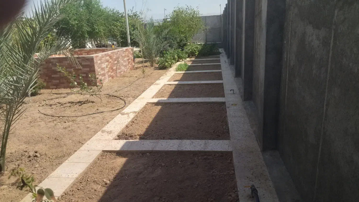 انجام امور باغبانی و درختکاری|خدمات باغبانی و درختکاری|بهبهان, |دیوار