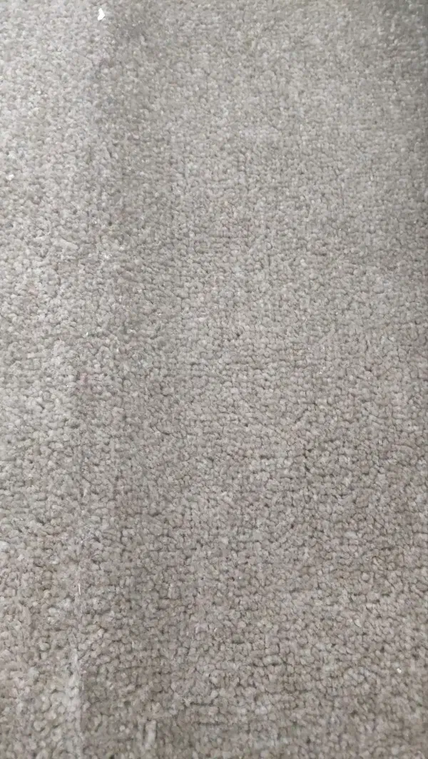 موکت برجسته با پرز|موکت|مشهد, شاهد (شهرک غرب)|دیوار