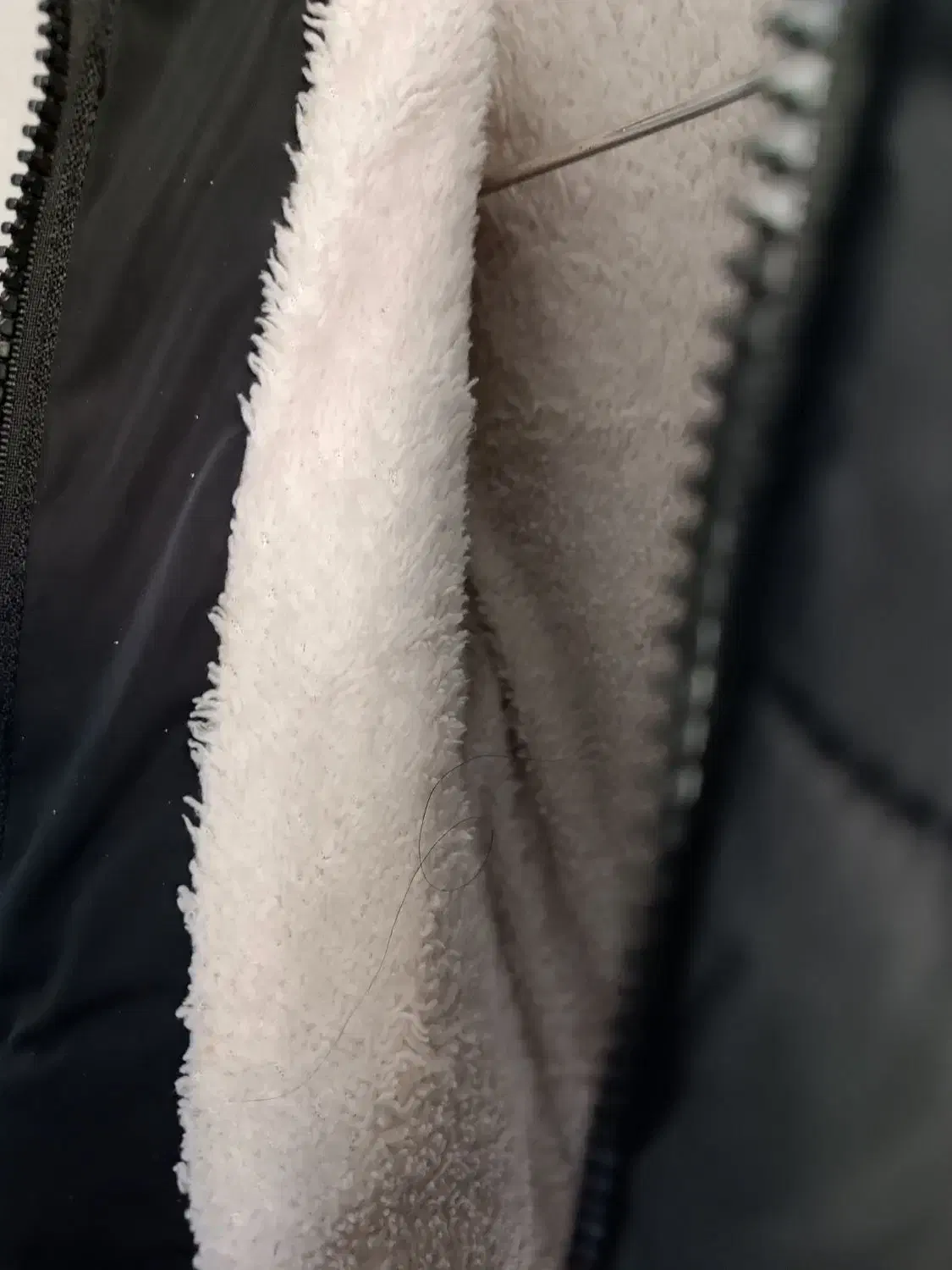 کاپشن دخترونه|لباس|شیراز, شاه قلی بیگی|دیوار