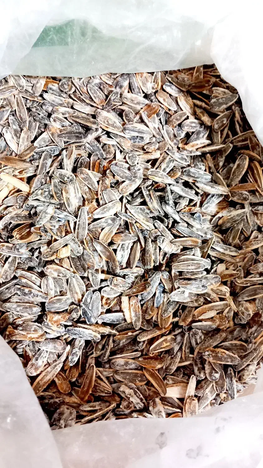 پخش تخمه آفتاب گردان|عمده‌فروشی|ساوه, |دیوار