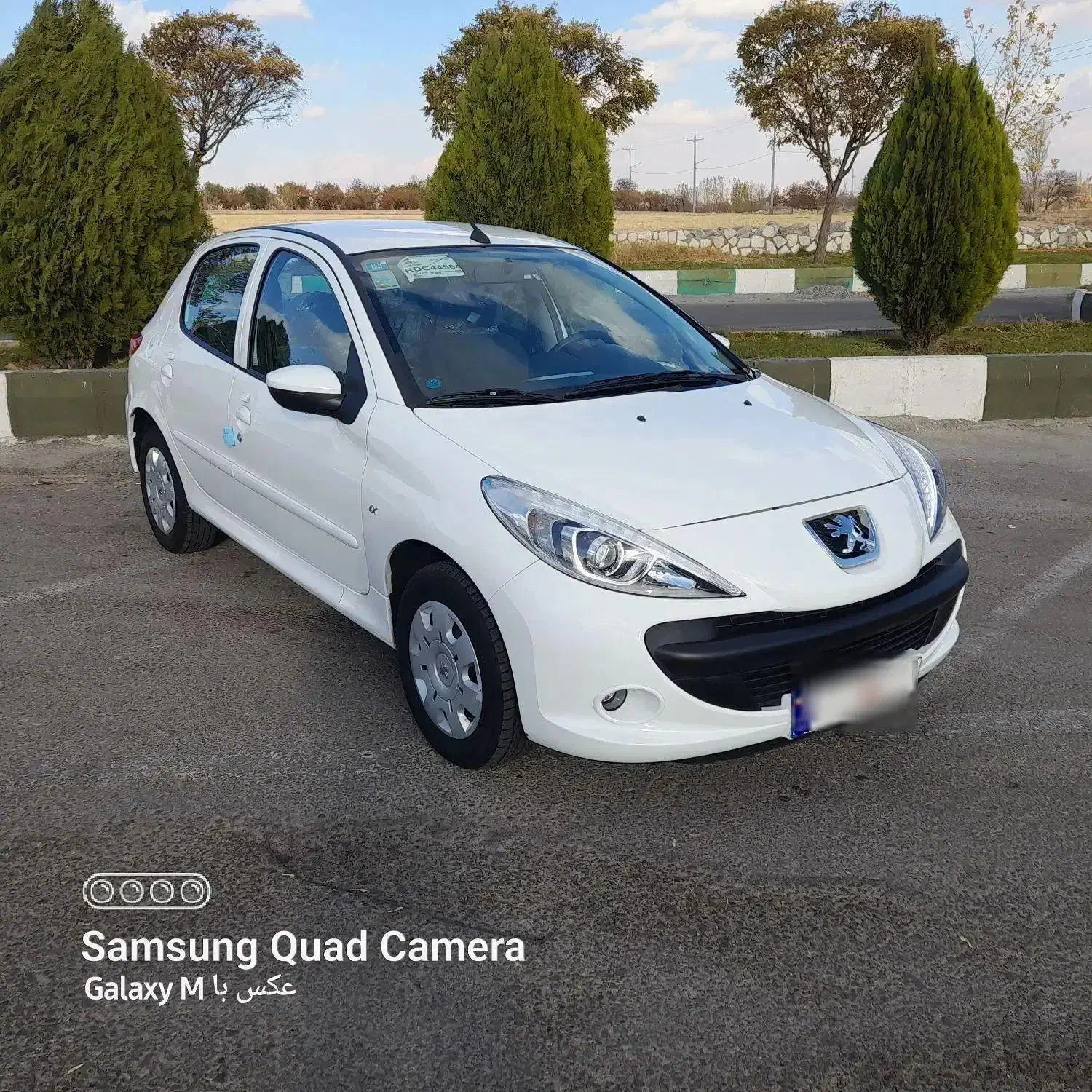 207 خشک مدل 1403|خودرو سواری و وانت|سنندج, |دیوار