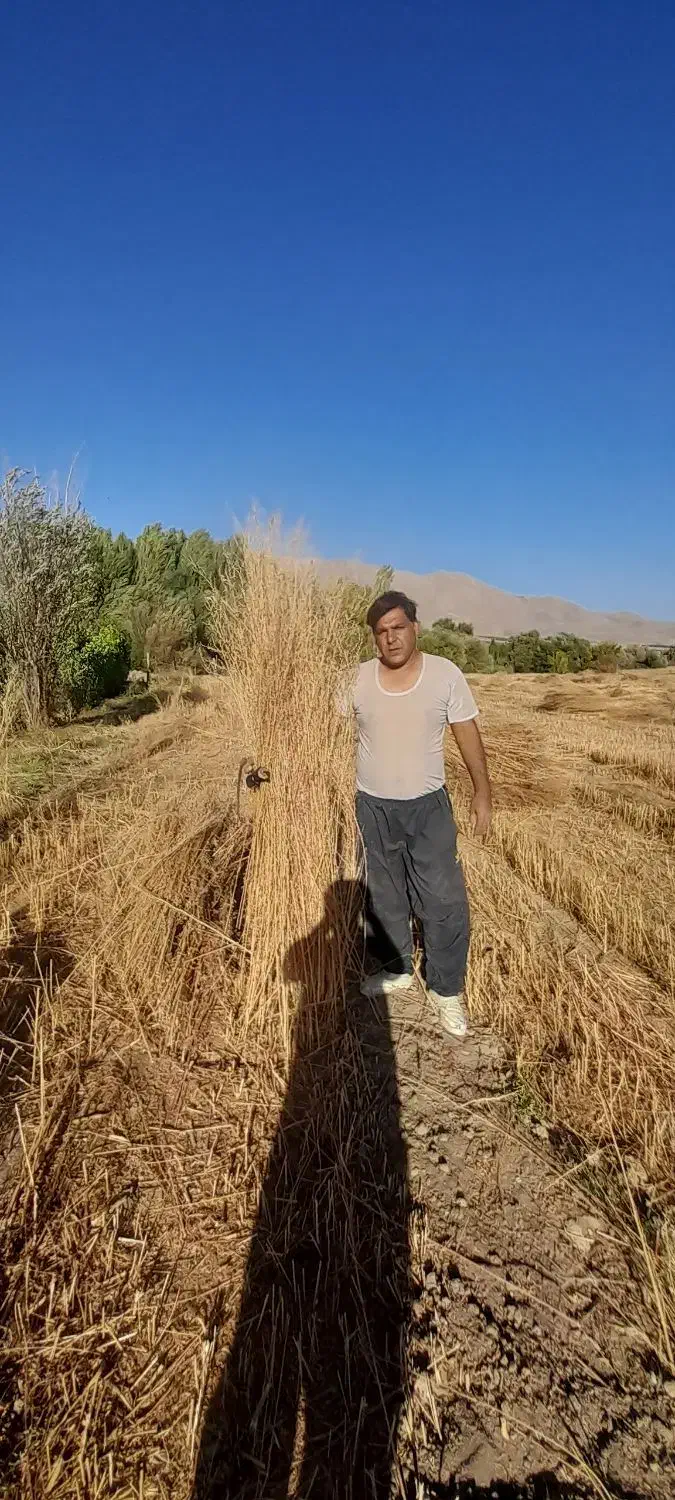 جارو شهرداری ۵جریب اماده|لوازم نظافت|نهاوند, |دیوار