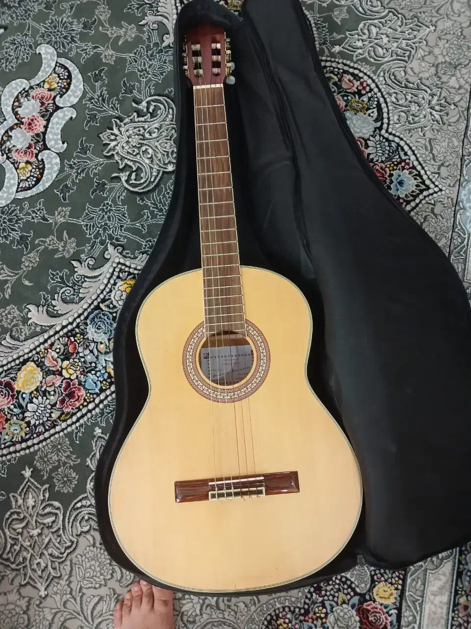 گیتار اسپانیایی آکبند|گیتار، بیس، امپلیفایر|فردیس, فردیس|دیوار