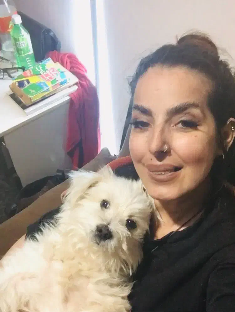 سگ گم شده|حیوانات|اندیشه, اندیشه فاز ۱|دیوار