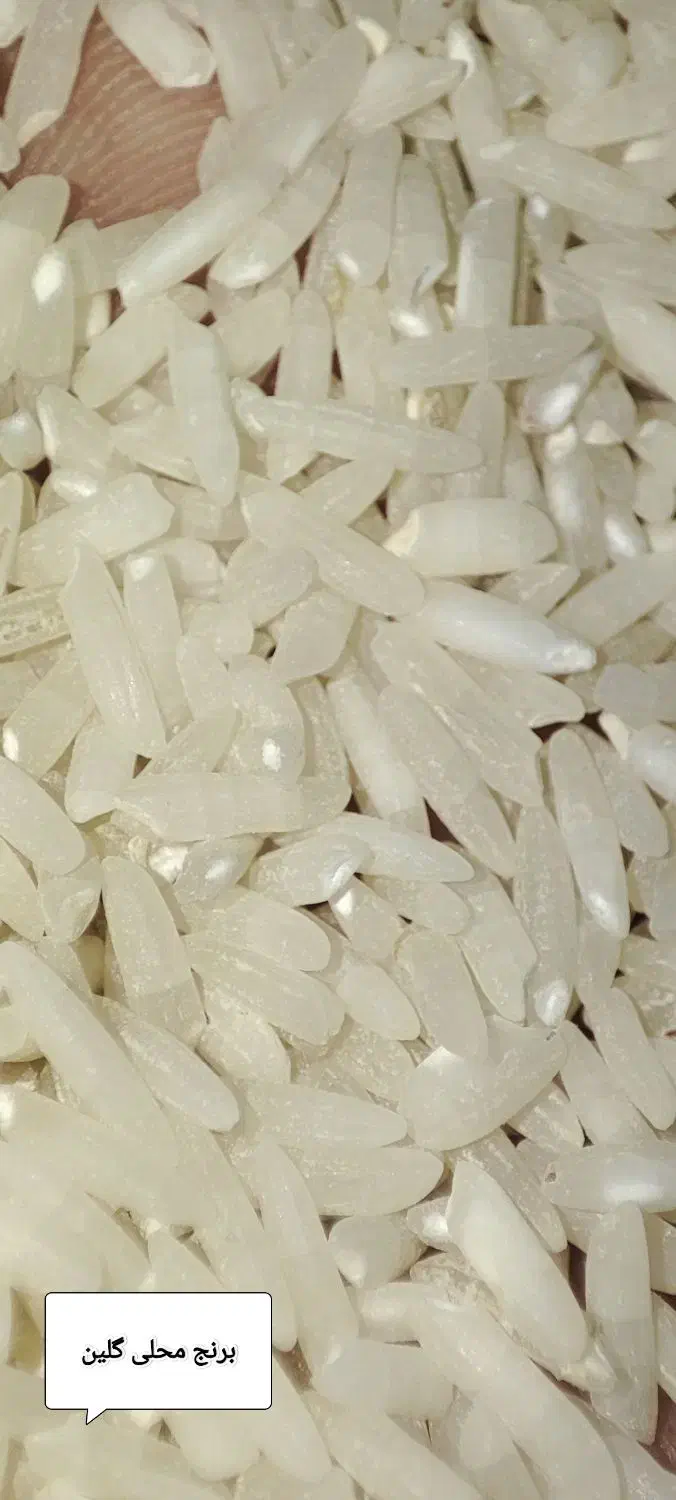 برنج محلی گلین|خوردنی و آشامیدنی|گیلان غرب, |دیوار