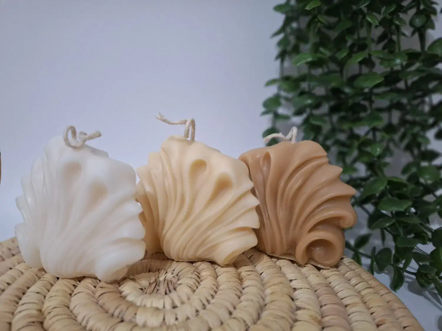 انواع شمع و گیفت|صنایع دستی و سایر لوازم تزئینی|شهریار, شهریار|دیوار