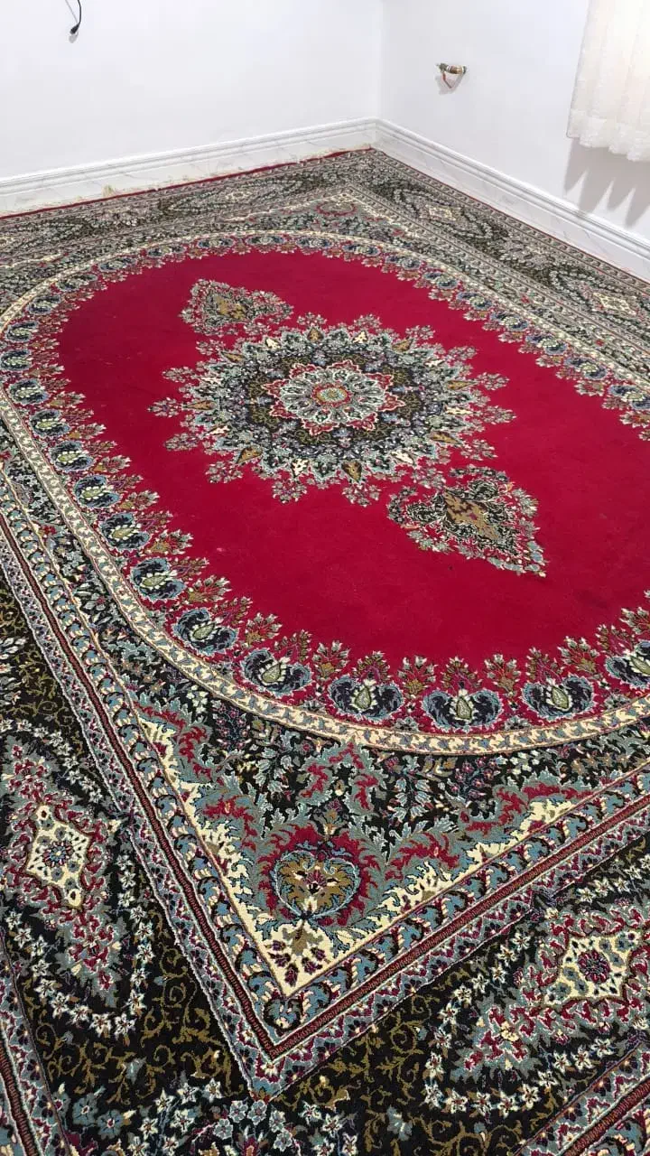 قالی کاشانی|فرش|کازرون, |دیوار