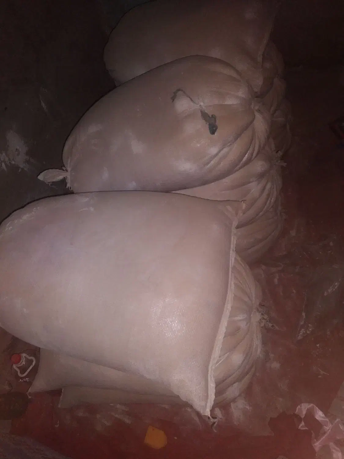 گندمتخمسمزده|لوازم جانبی حیوانات|زابل, |دیوار