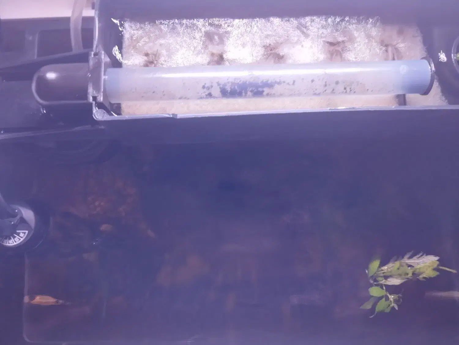 آکواریوم کامل|ماهی|زاهدان, |دیوار