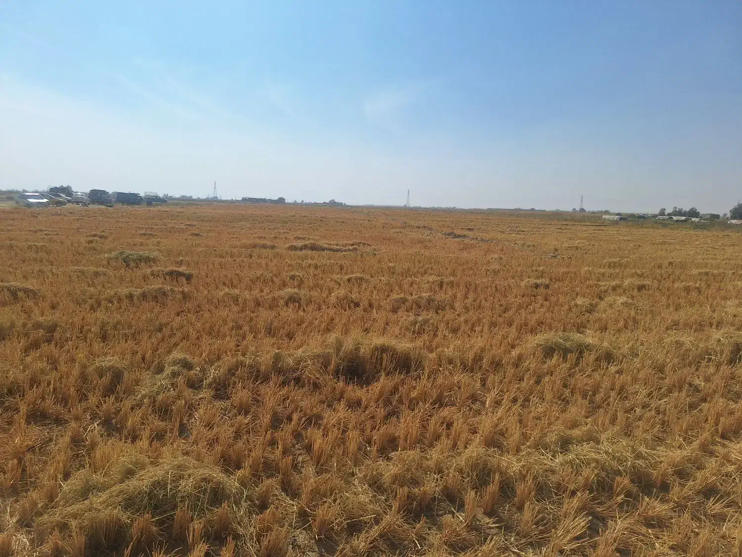 زمین کشاورزی|فروش دفتر صنعتی، کشاورزی، تجاری|درودزن, |دیوار