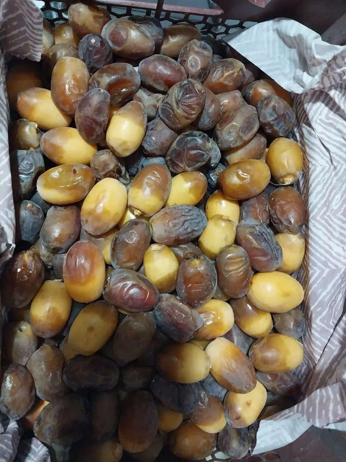 رطب جهرم|خوردنی و آشامیدنی|مرودشت, مختارآباد|دیوار