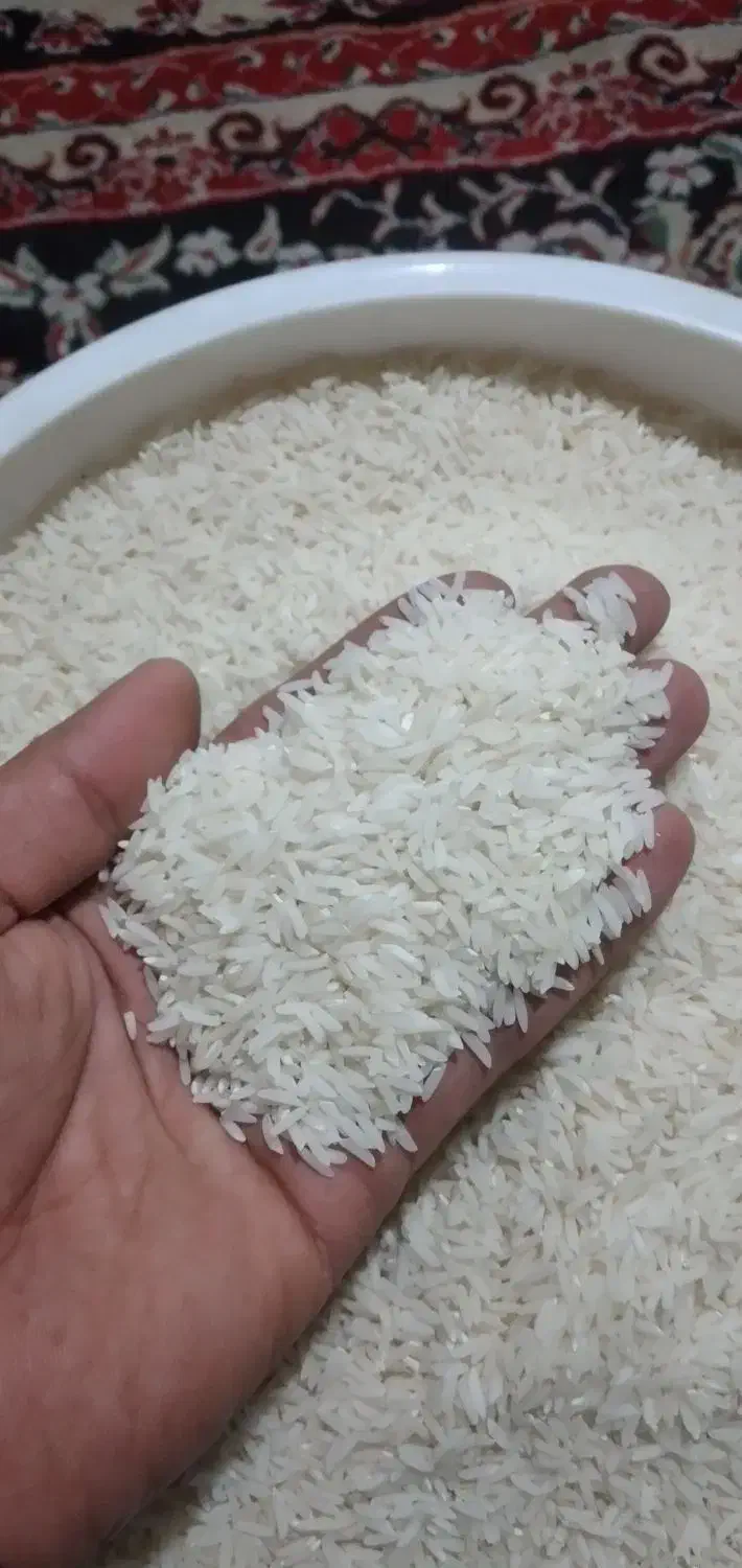 طارم درجه یک اورگانیک|خوردنی و آشامیدنی|فرح آباد, |دیوار