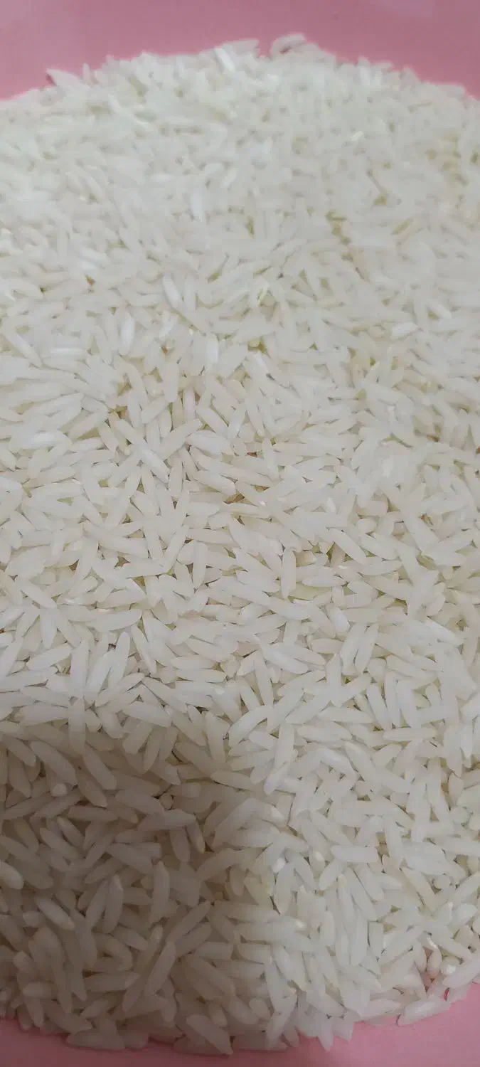 برنج هاشمی درجه یک معطر و خوش پخت|خوردنی و آشامیدنی|رشت, سعدی (تختی)|دیوار