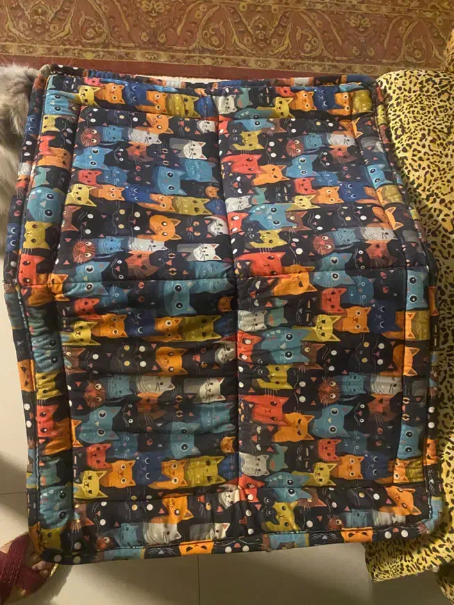 خونه سگ یا گربه|لوازم جانبی حیوانات|مشهد, هنرستان|دیوار