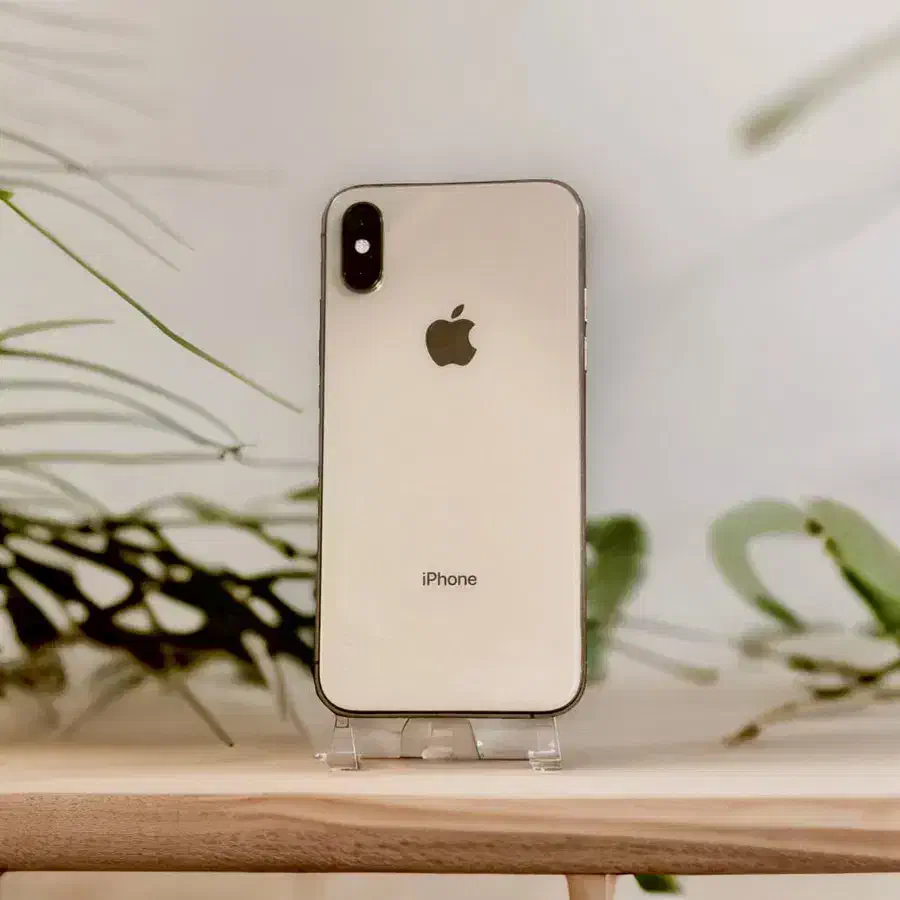 Xs 256 lla|موبایل|رشت, لاکانی|دیوار