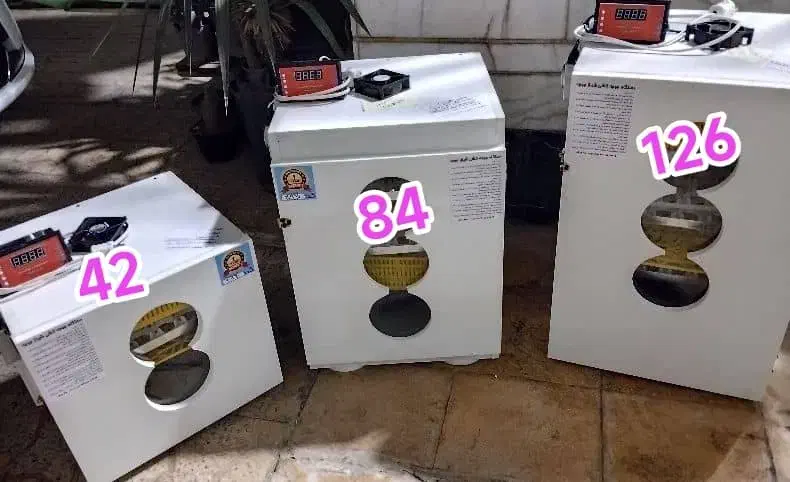 دستگاه جوجه کشی دیجیتال نمایش تعداد روز دماو رطوبت|لوازم جانبی حیوانات|نوشهر, |دیوار