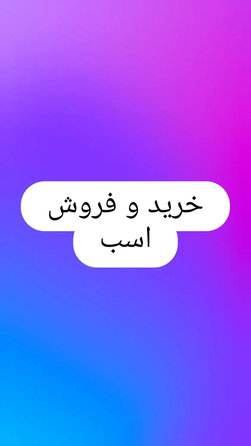 خرید و فروش اسب|اسب و تجهیزات اسبسواری|سیلوانه, |دیوار