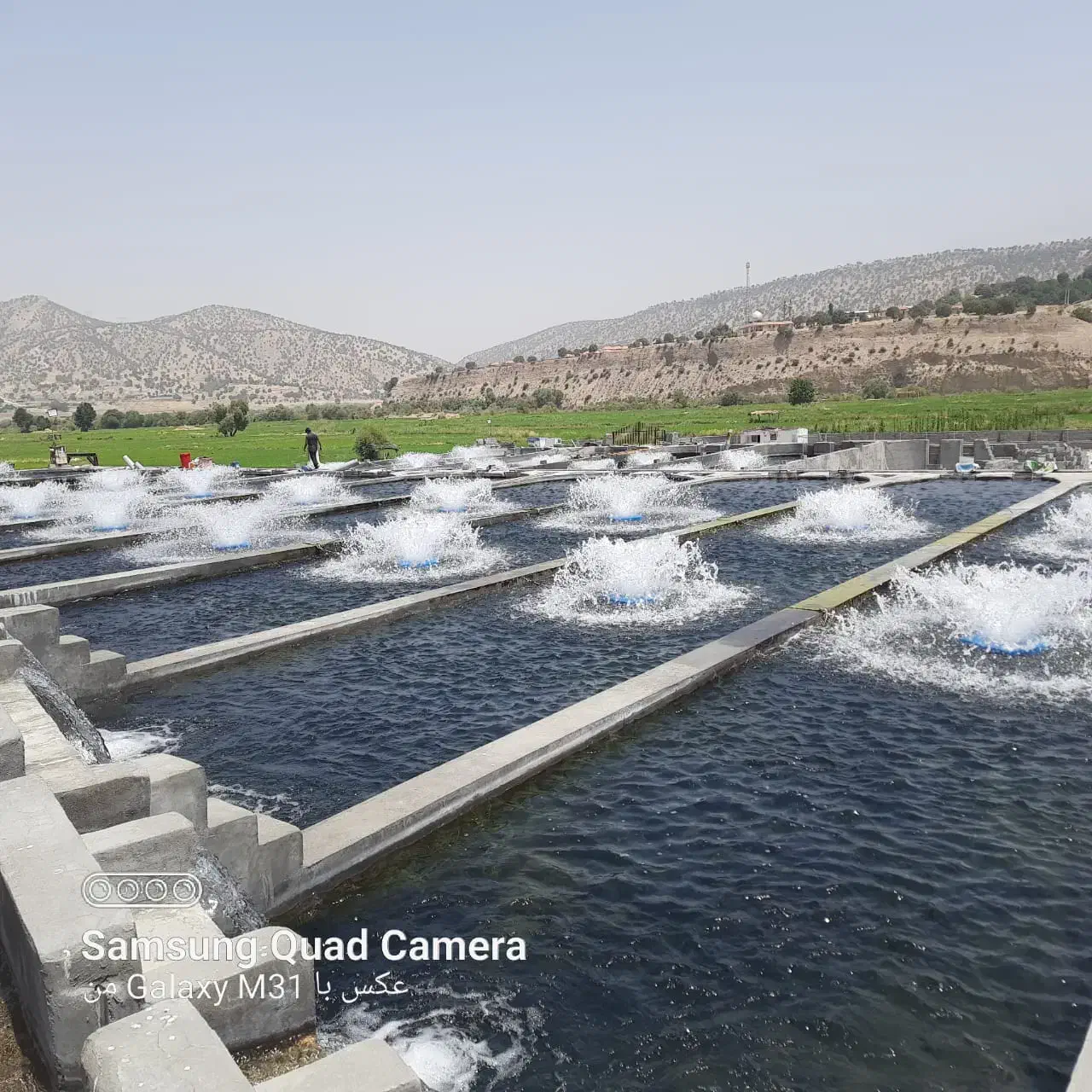 نیروی پرورش ماهی|استخدام صنعتی، فنی، مهندسی|یاسوج, |دیوار