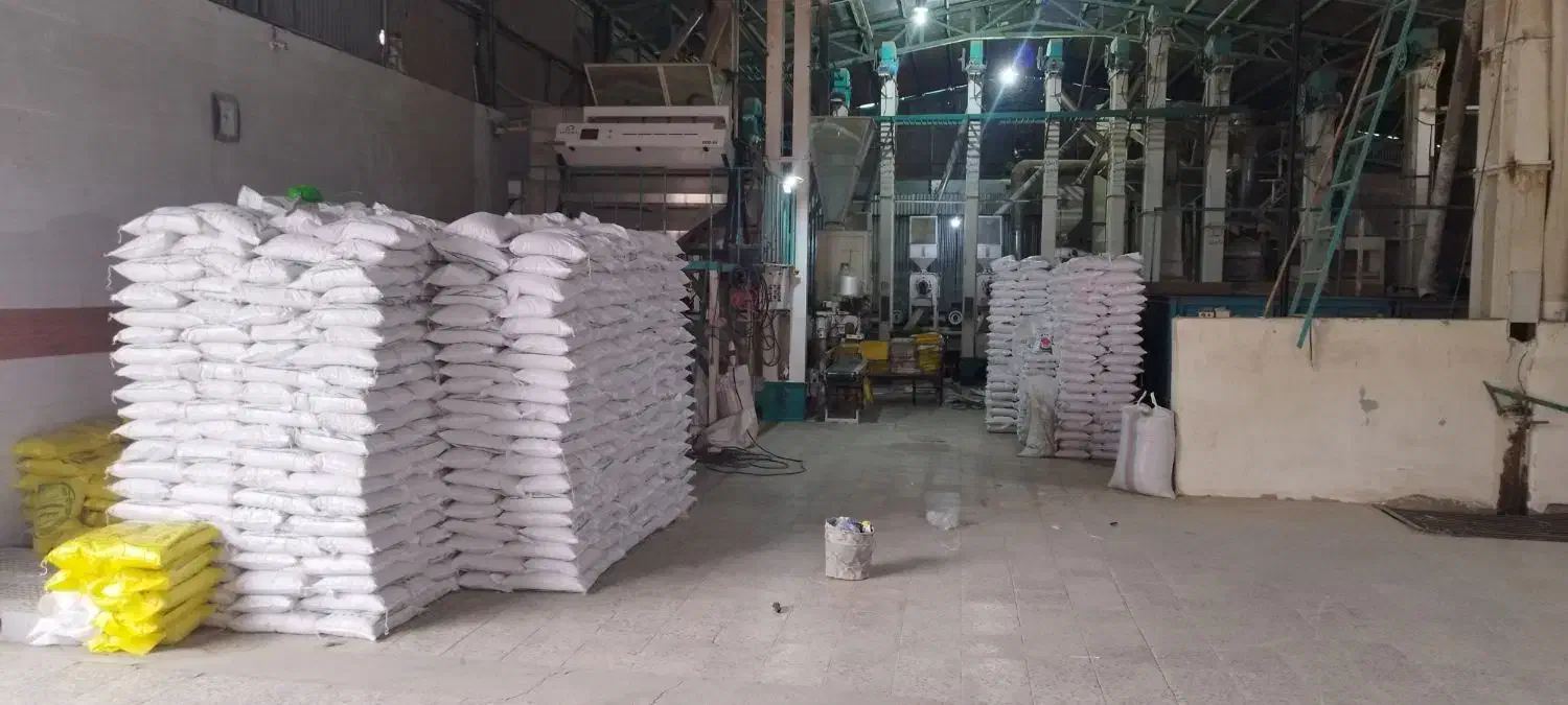 برنج عنبر بو|خوردنی و آشامیدنی|شوشتر, |دیوار