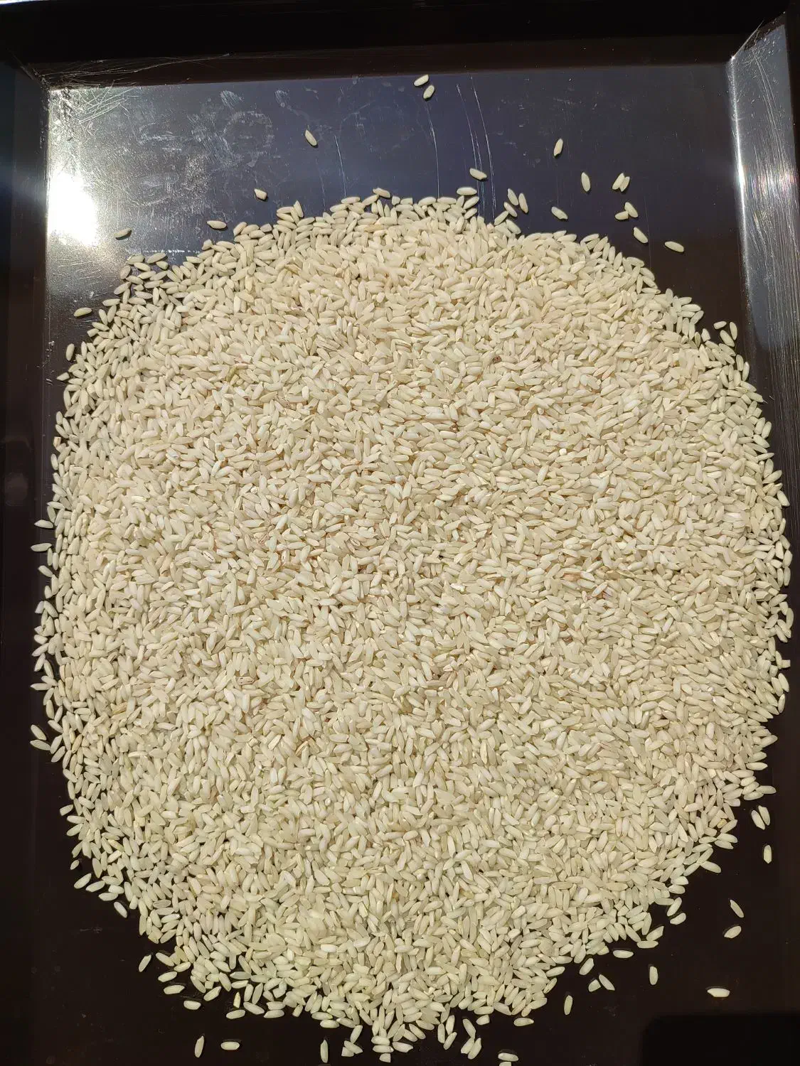 برنج عنبر بو|خوردنی و آشامیدنی|شوشتر, |دیوار
