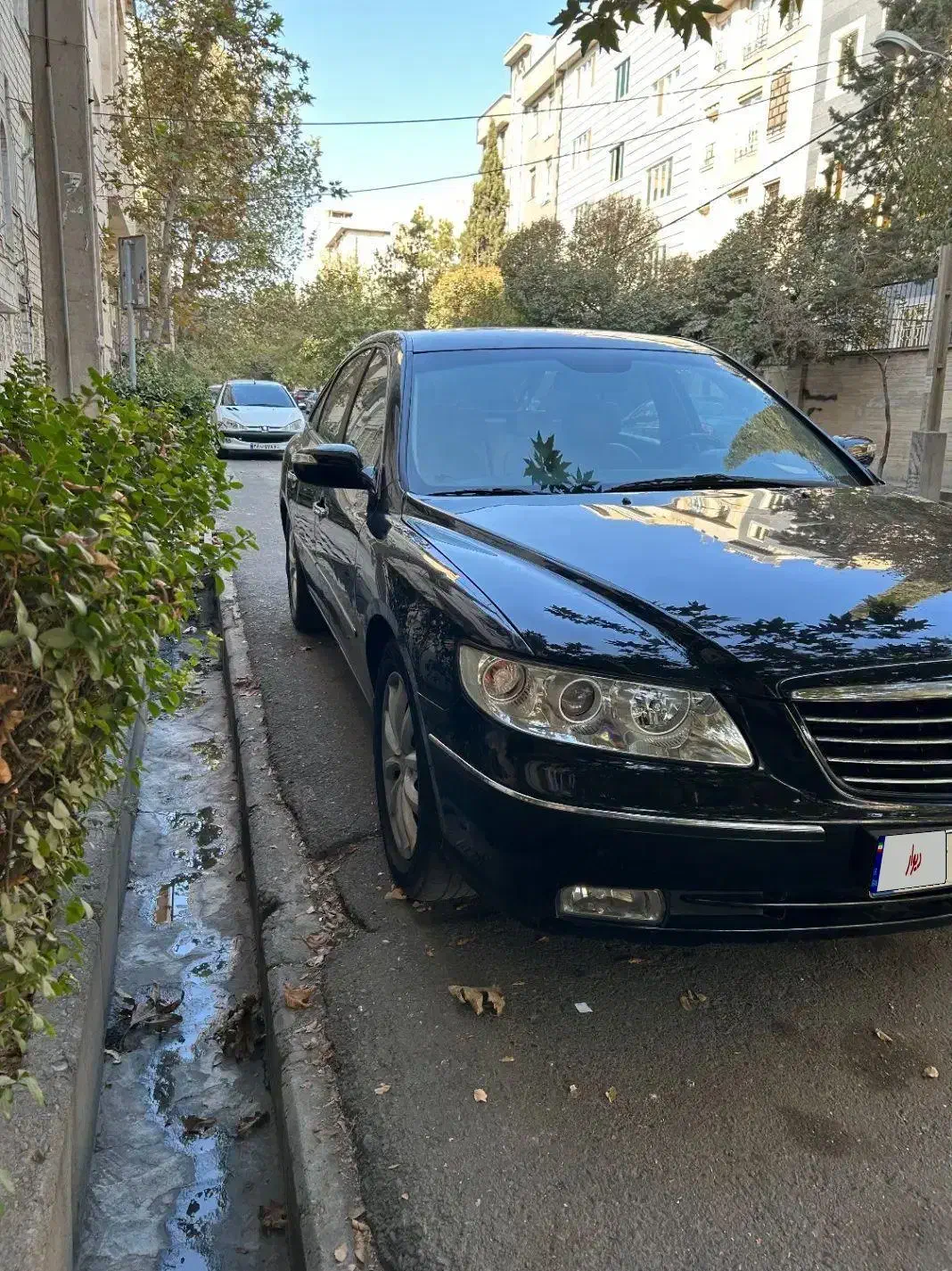 آزرا ۲۰۰۸|خودرو سواری و وانت|تهران, دردشت|دیوار