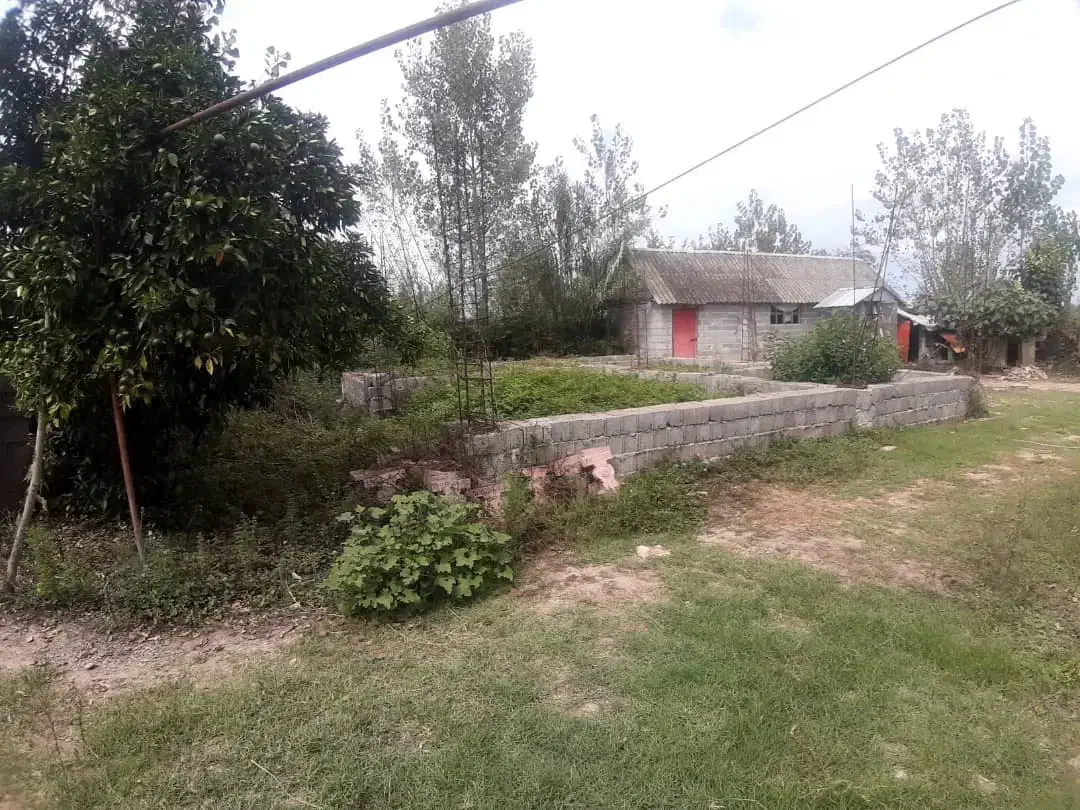 زمین مسکونی260 با مجوز و زیر بنا100متر لشت نشا|فروش زمین و ملک کلنگی|رشت, گلسار|دیوار