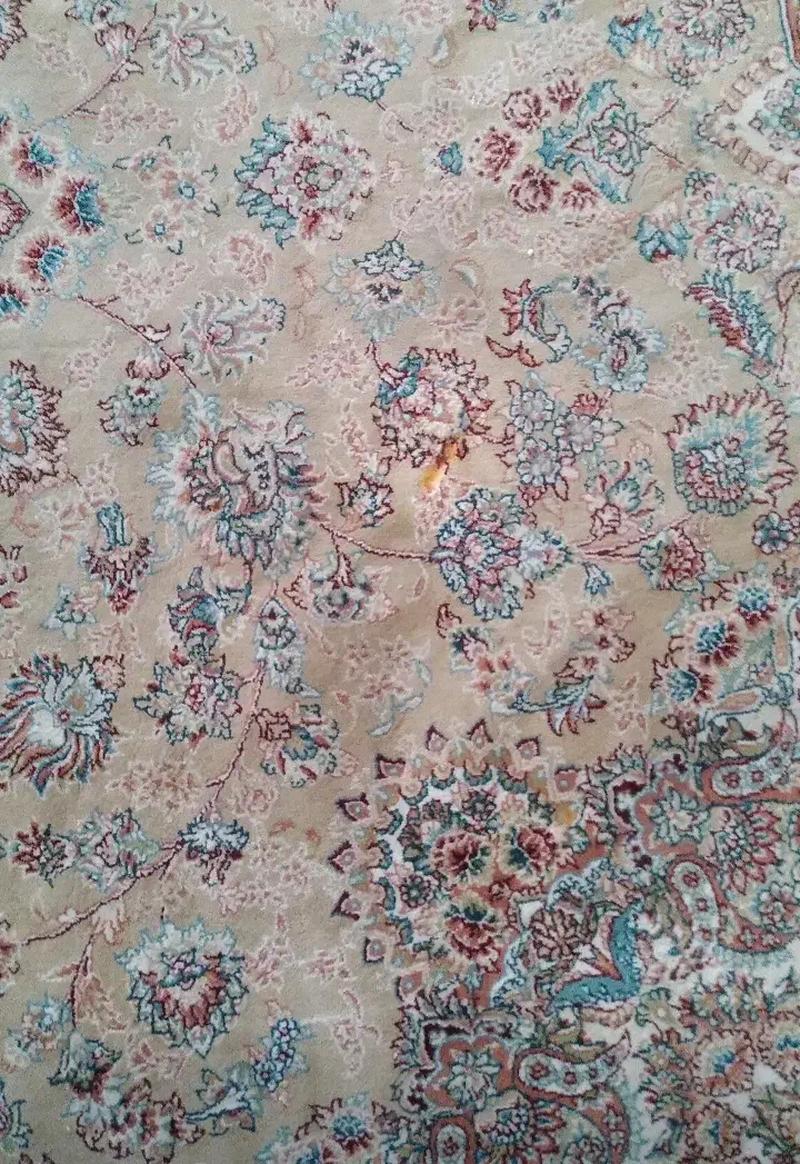 ۲ جفت فرش ۶ متری|فرش|ماکلوان, |دیوار