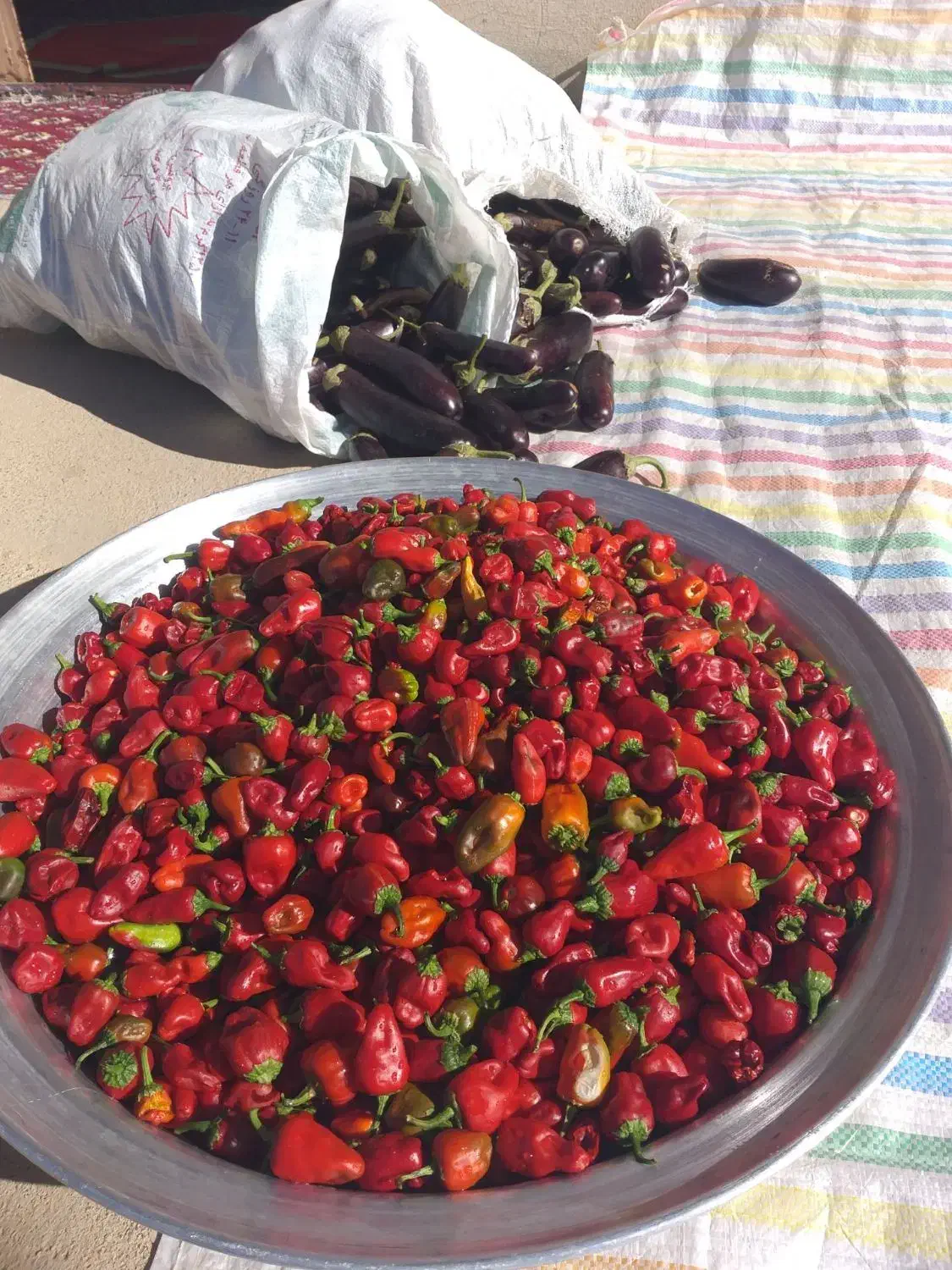 فلفل و بادمجان عمده سر مزرعه|خوردنی و آشامیدنی|شباب, |دیوار