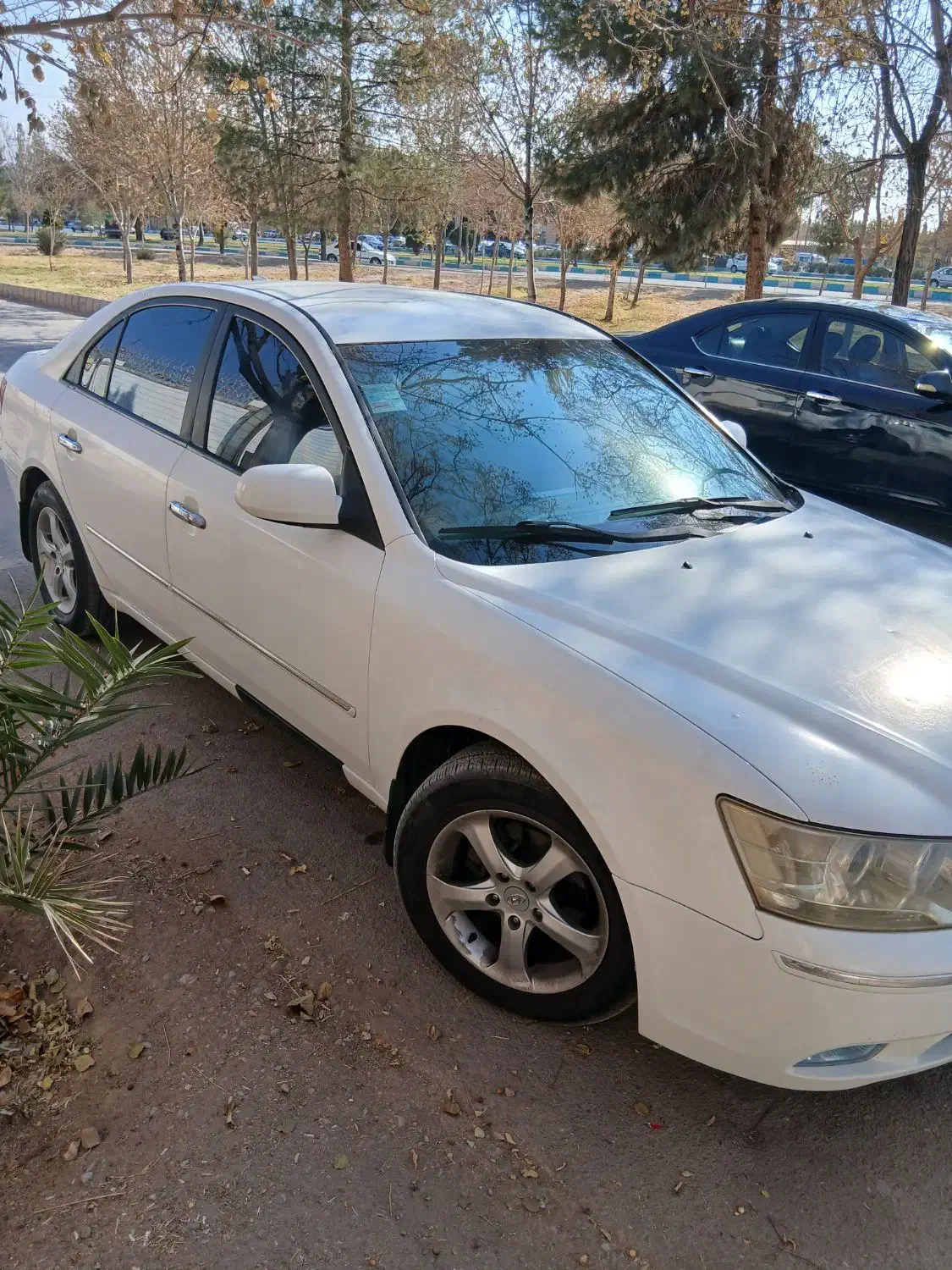 سوناتا۲۰۰۹|خودرو سواری و وانت|کرمان, |دیوار