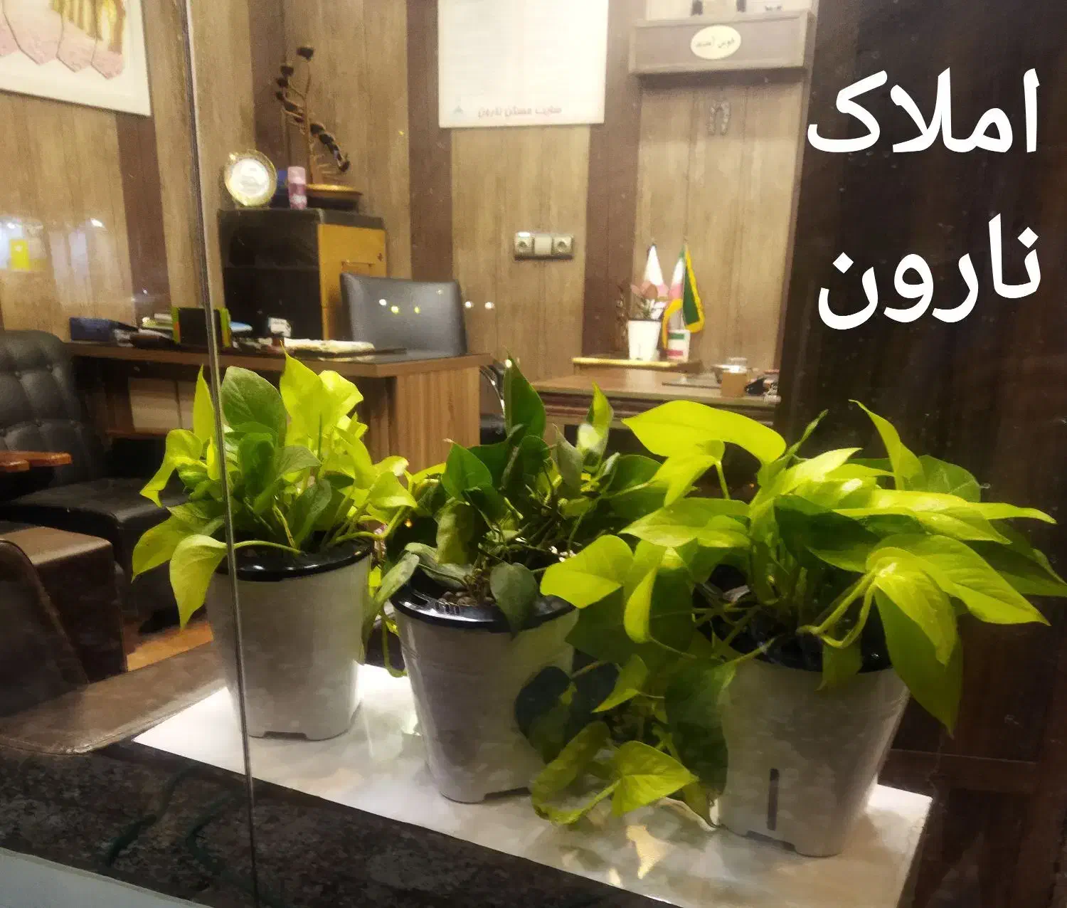 آپارتمان همکف بهارستان|فروش آپارتمان|اهواز, بهارستان|دیوار