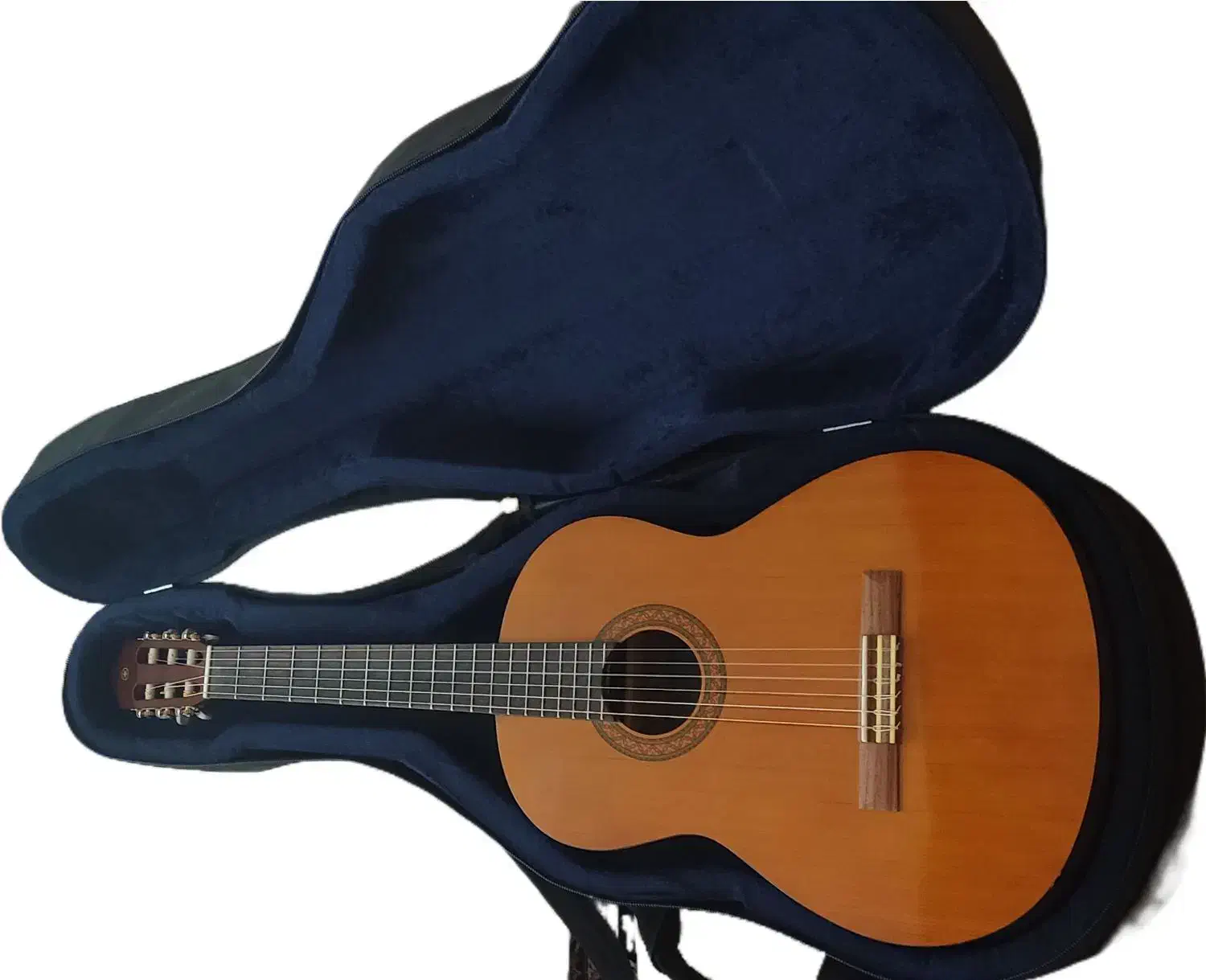 گیتار یاماها C40 اصل|گیتار، بیس، امپلیفایر|زنجان, |دیوار