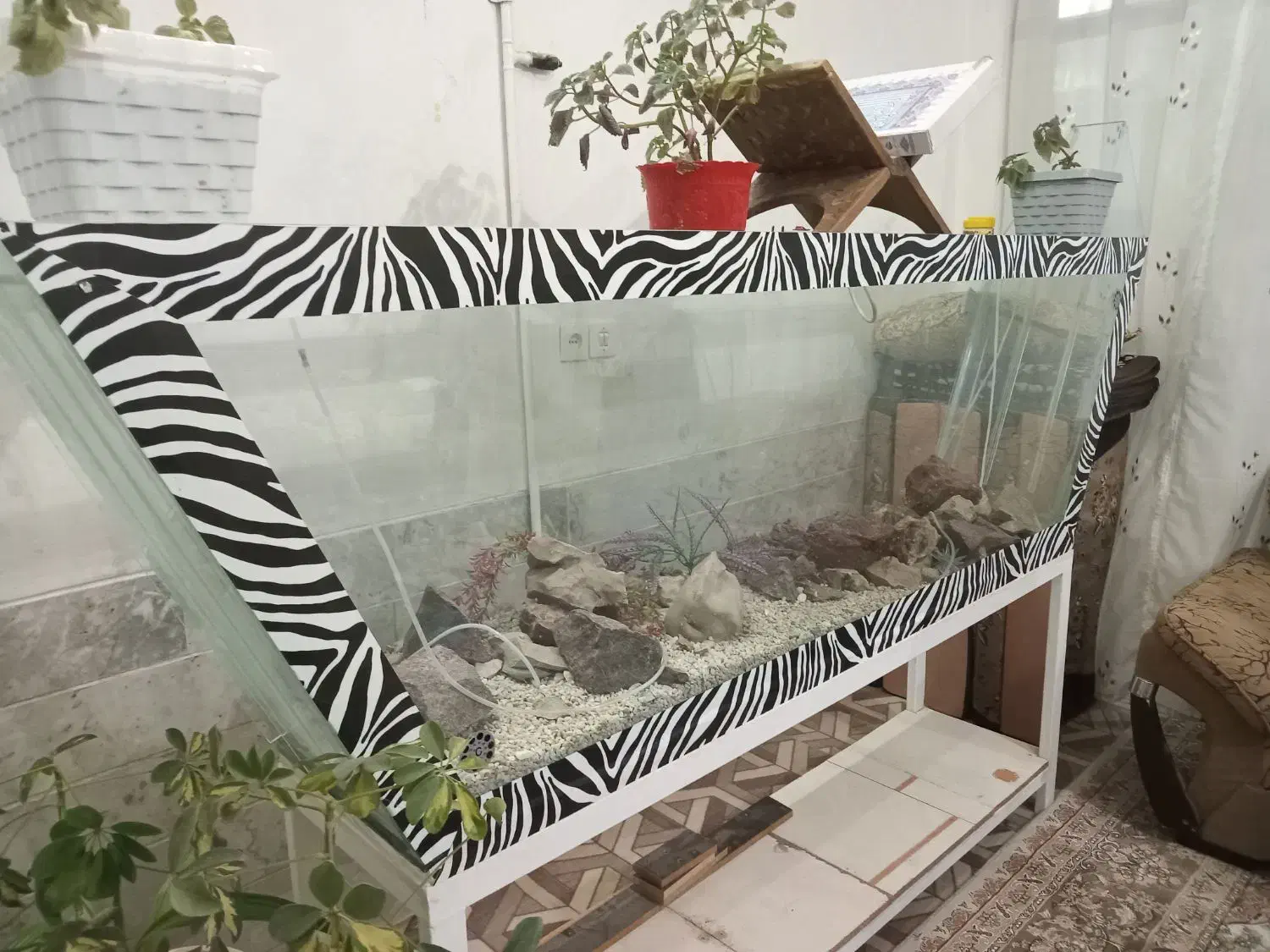 اکواریووم بزرگ 10 میل مخصوص ماهی سایز بزرگ|ماهی|زارچ, |دیوار