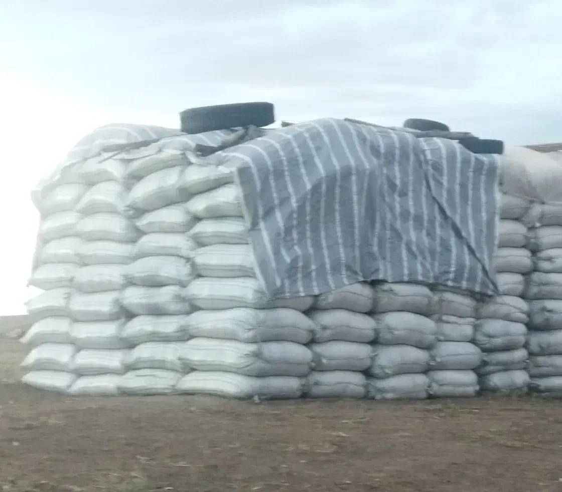 کاه گندم|عمده‌فروشی|قشلاق دشت, |دیوار