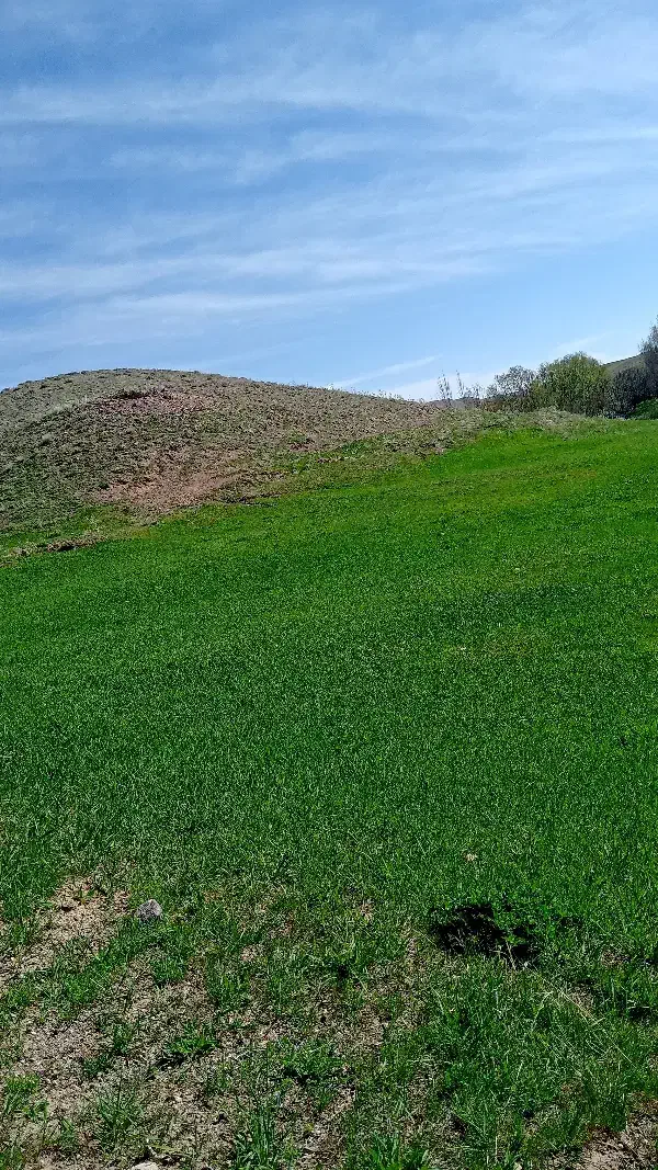 میلی|کارت هدیه و تخفیف|مراغه, |دیوار