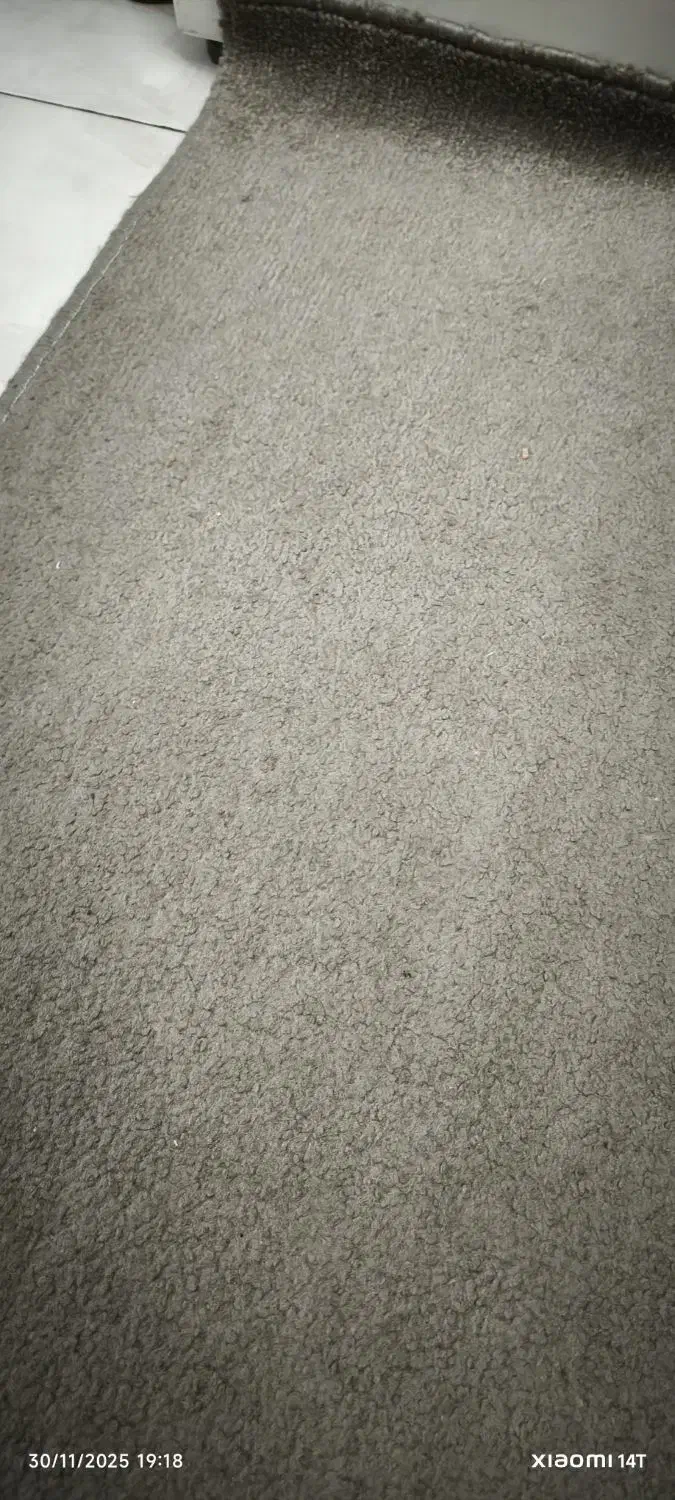 موکت پرز بلند پالاز|موکت|کرج, حیدرآباد|دیوار