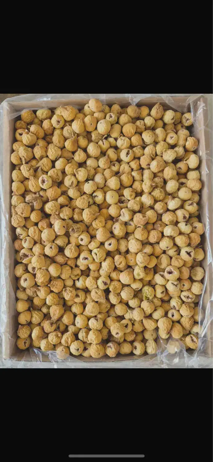 انجیر خشک|خوردنی و آشامیدنی|شیراز, شهرک کوشکک|دیوار