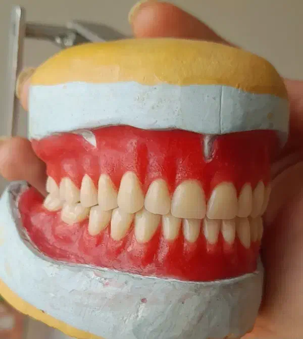 لابراتوار دندانسازی(نیودنت Newdent)|خدمات آرایشگری و زیبایی|کاشمر, |دیوار