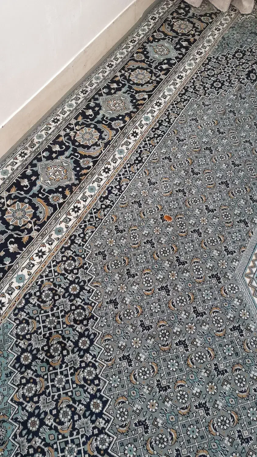 فرش|فرش|شاهرود, |دیوار