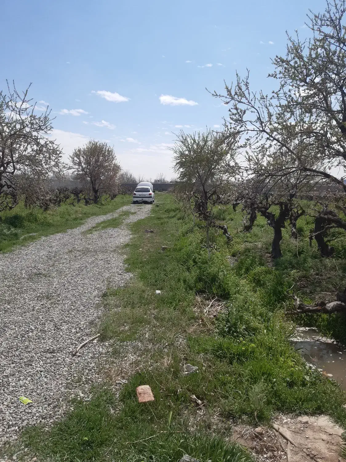 باغچه|فروش زمین و ملک کلنگی|رباطکریم, انجم آباد|دیوار