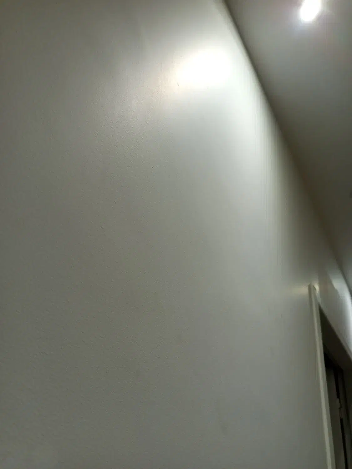 رنگ آمیزی دیوار سیمانی|خدمات پیشه و مهارت|تربت‌حیدریه, حسنی بالا|دیوار