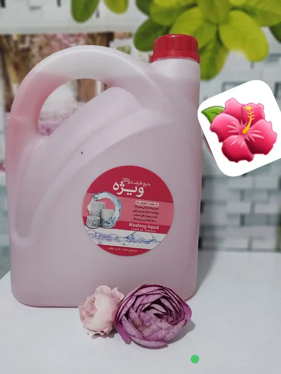 انواع شوینده گیاهی|مواد شوینده و دستمال کاغذی|همدان, |دیوار