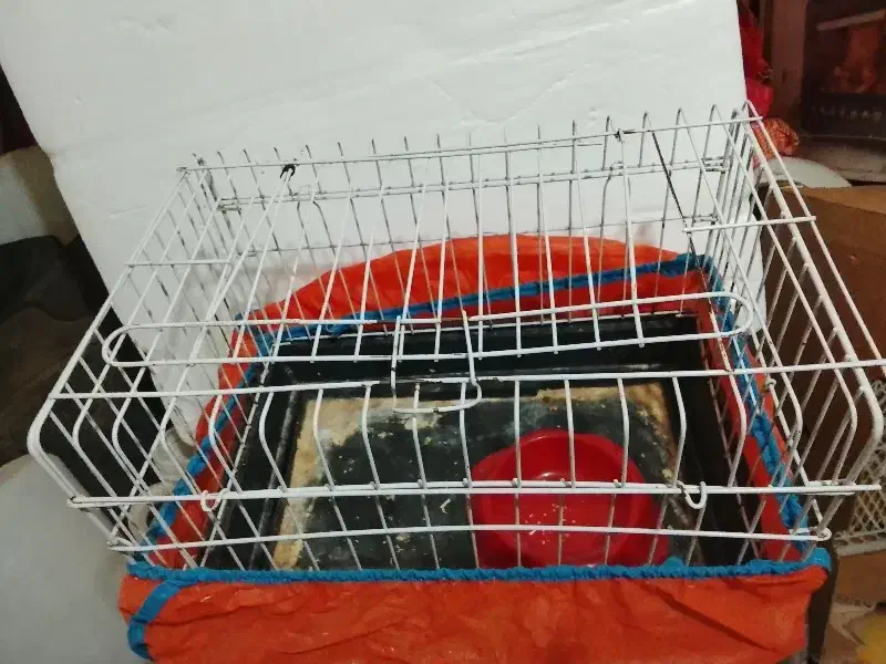 قفس پرنده ، قفس همستر و خرگوش|لوازم جانبی حیوانات|قزوین, |دیوار