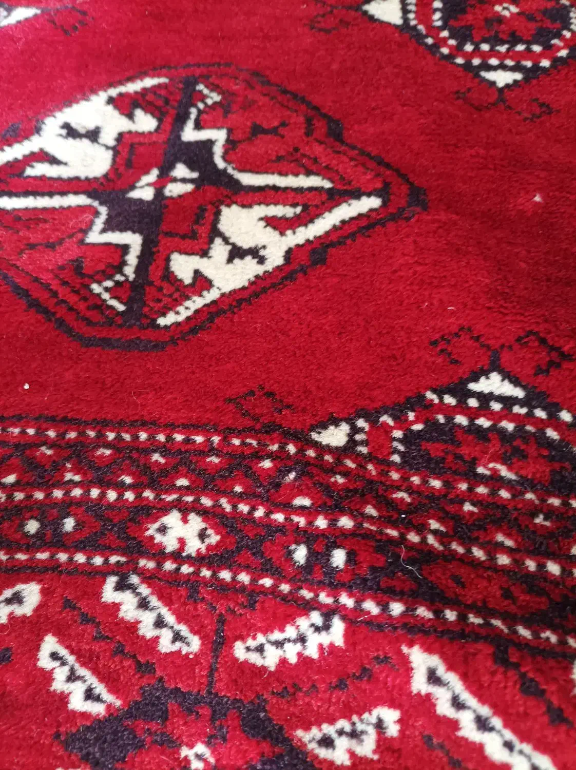 قالی ترکی|فرش|شیراز, شهرک والفجر|دیوار