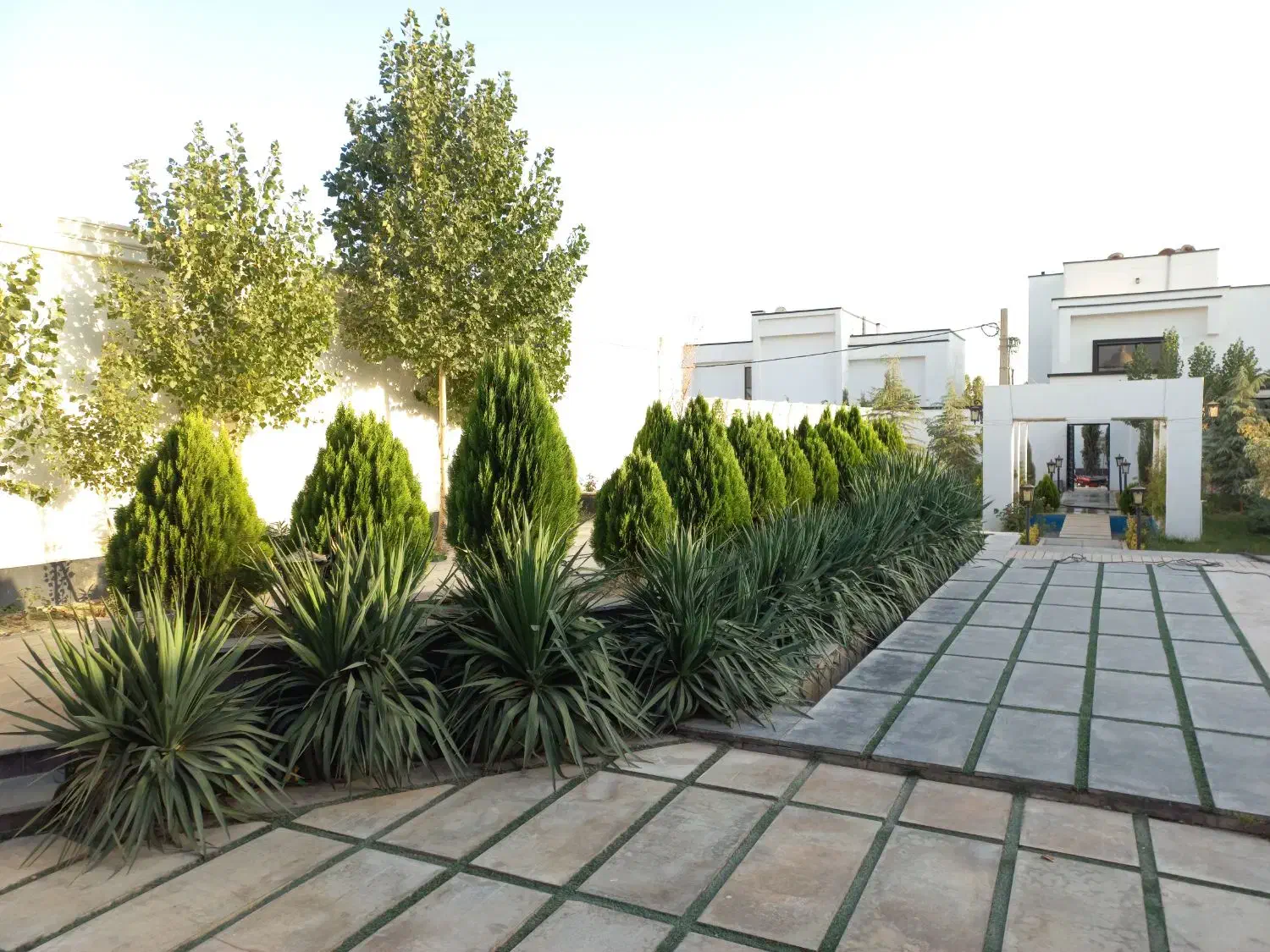 زمین بلوار ۳۰۰ خورسند بلوار پیامبر اعظم|فروش زمین و ملک کلنگی|شهر بابک, |دیوار